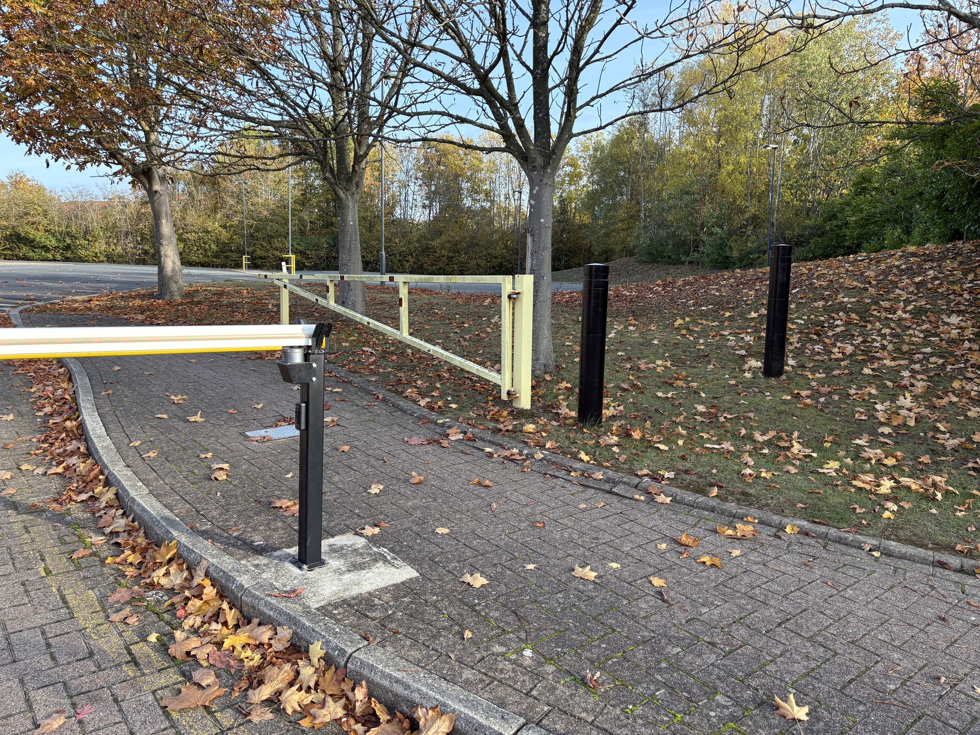 Bolt-Down vs Dig-In Bollards Bollards Dig In black large diameter in commercial building cat park entrance Bollard Supplies